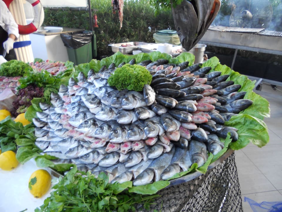 Fisch Asteria Family Belek