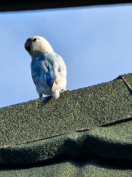 Gartenanlage Adaaran Select Meedhupparu Island Resort - Premium All Inclusive