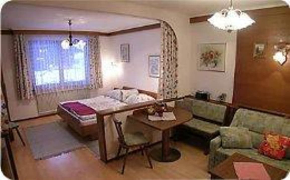 Appartement Dachstein m. Wohn- Schlafraum ca 35 m2 Landpension Köberl