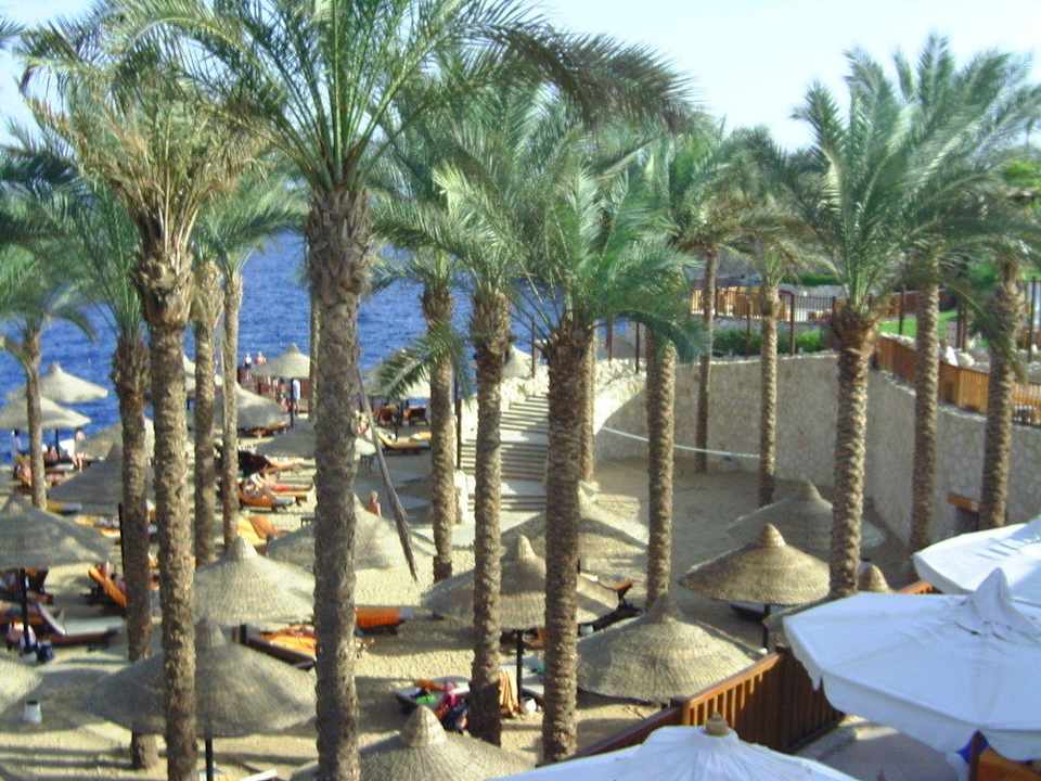 Liegeplatz unter Palmen The Grand Hotel Sharm El Sheikh