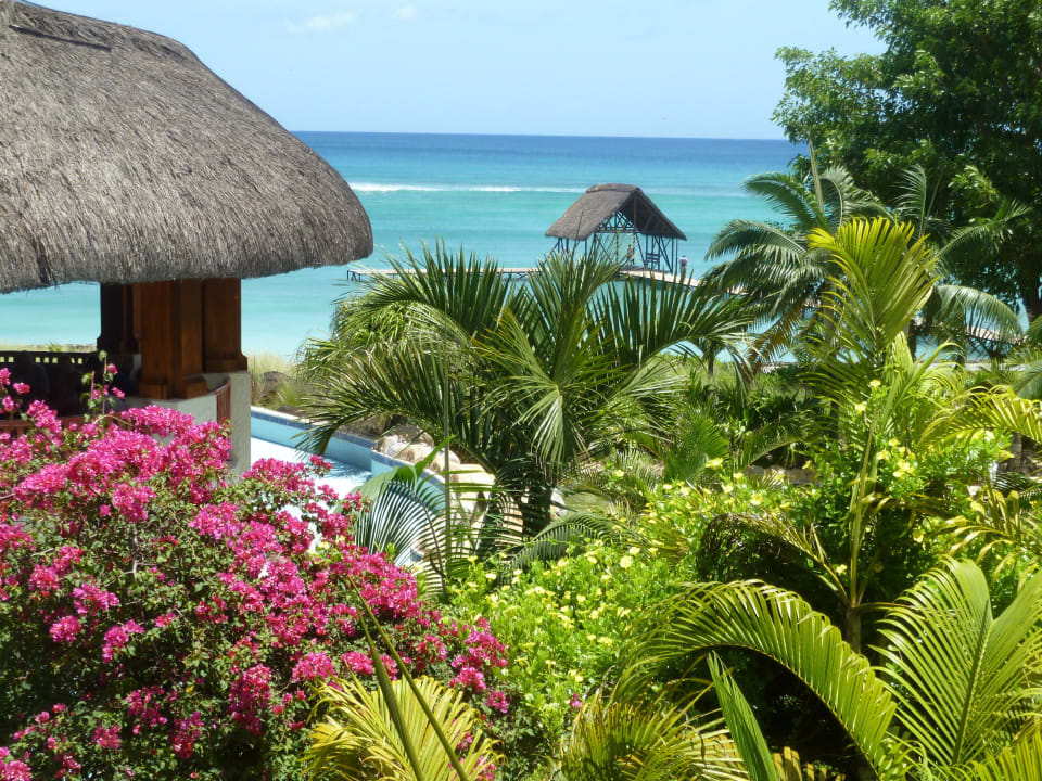 Tropische Gartenanlage Le Meridien Ile Maurice
