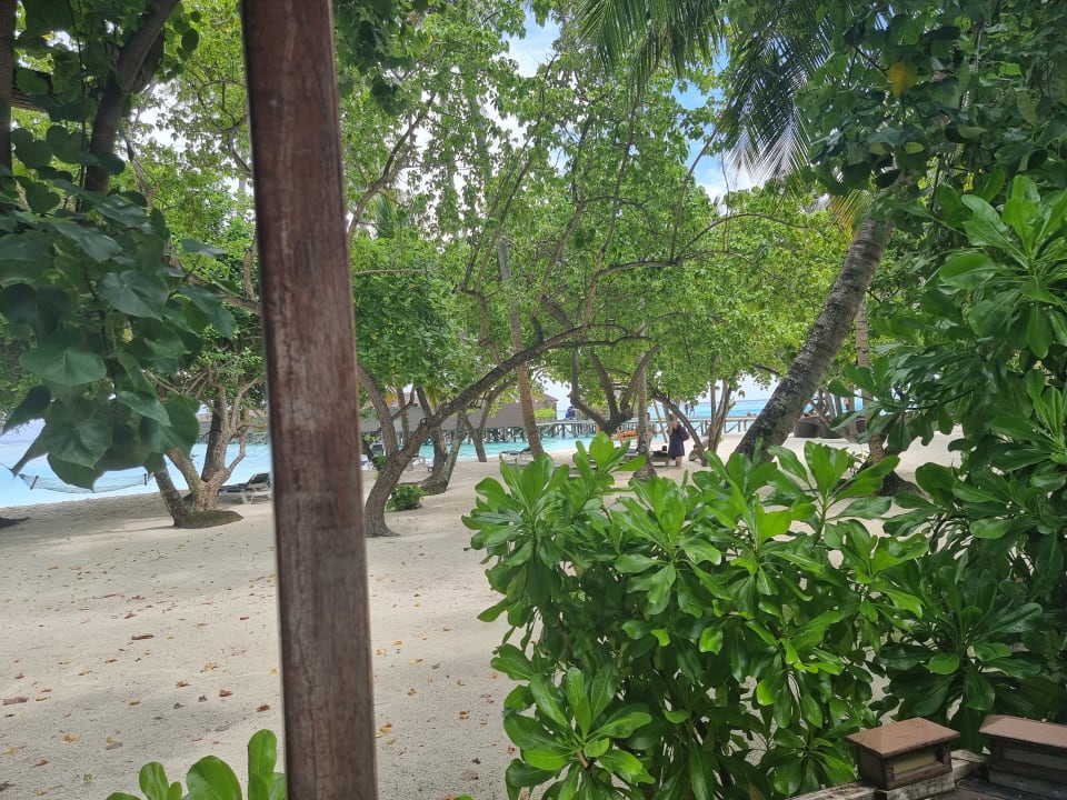 Gartenanlage Meeru Maldives Resort Island