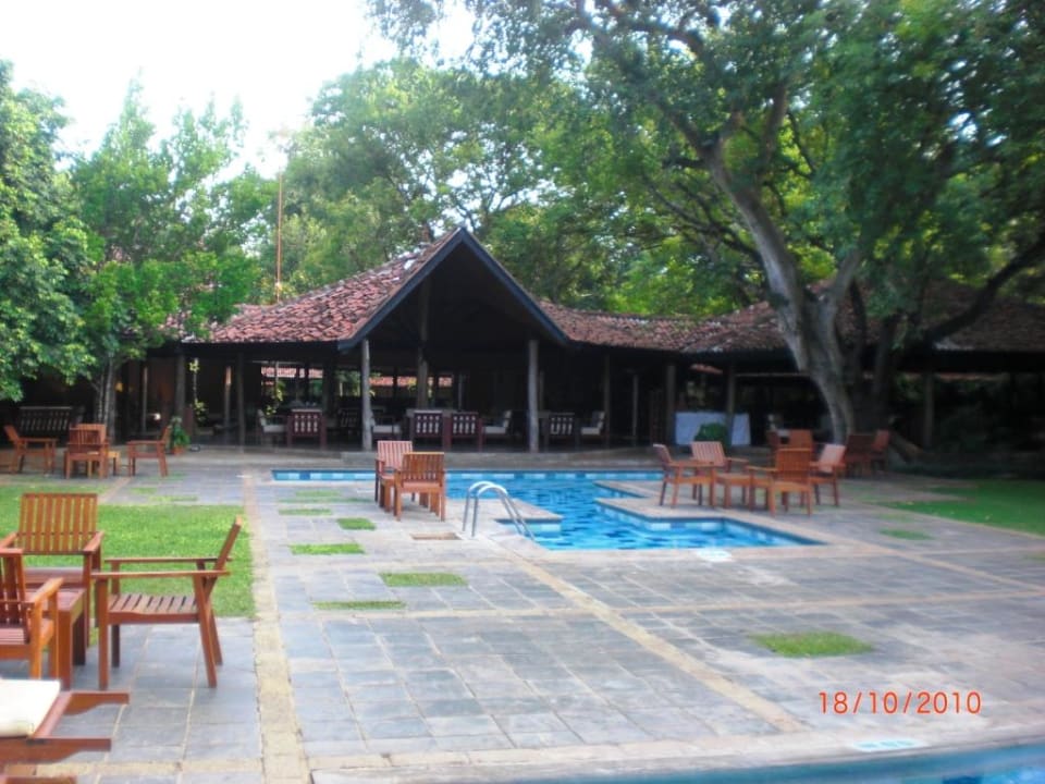 Pool und Barbereich Hotel Sigiriya