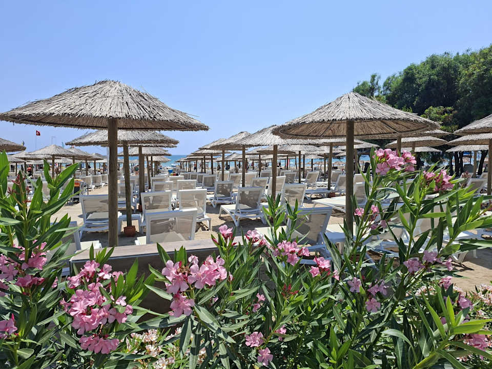 Strand Dream Water World