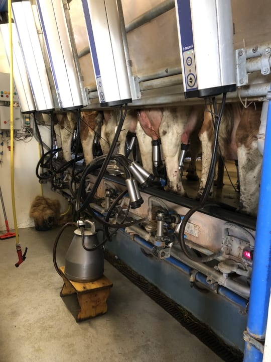 Sonstiges Bauernhof Forellenhof