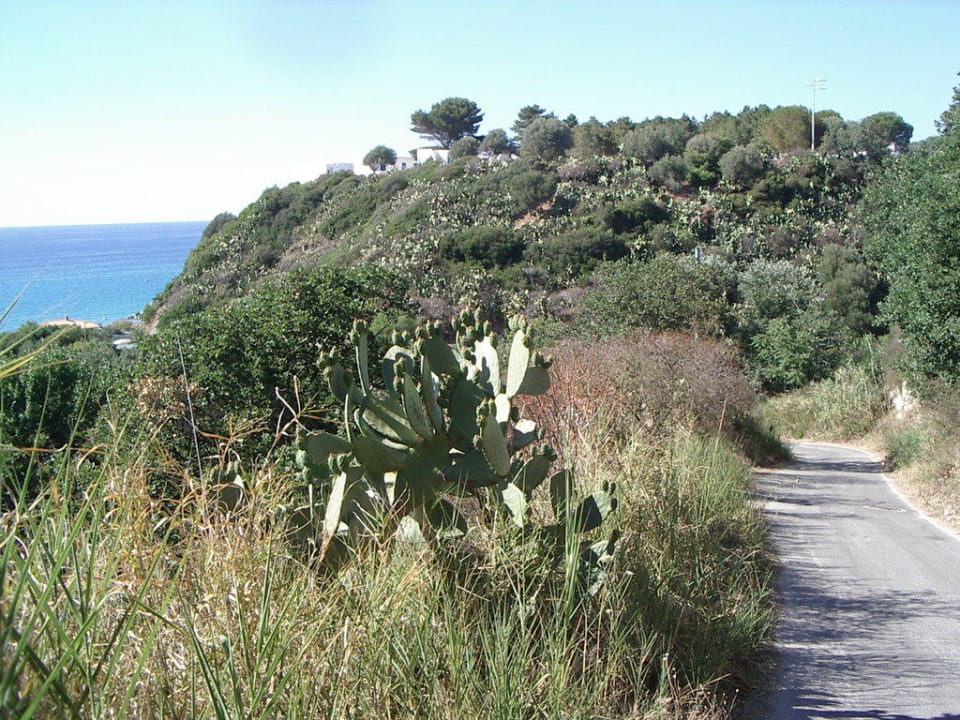 Weg zum Strand TUI SUNEO La Conchiglia