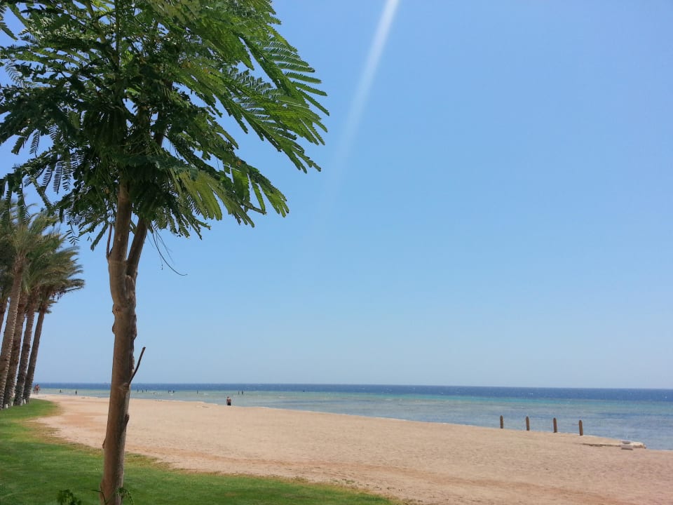 Strand  Makadi Spa - Adults only