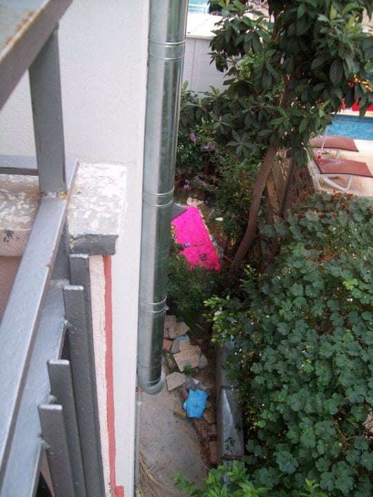 Ausblick Hotel Kleopatra Bebek