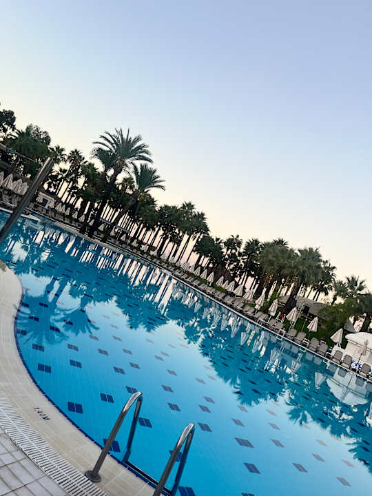 Pool Monachus Family Resort Sorgun