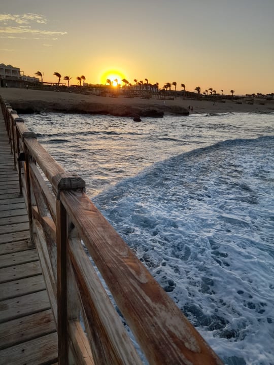 Strand Steigenberger Resort Alaya Marsa Alam - Red Sea - Adults only