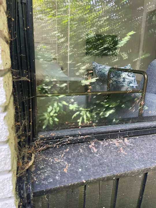 Außenansicht Novasol Ferienhäuser