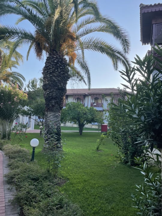 Außenansicht Ali Bey Club