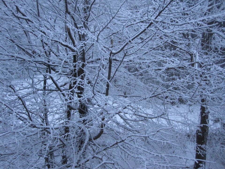 Ausblick Zimmer 111 Riesserkopf- & Tonihütte