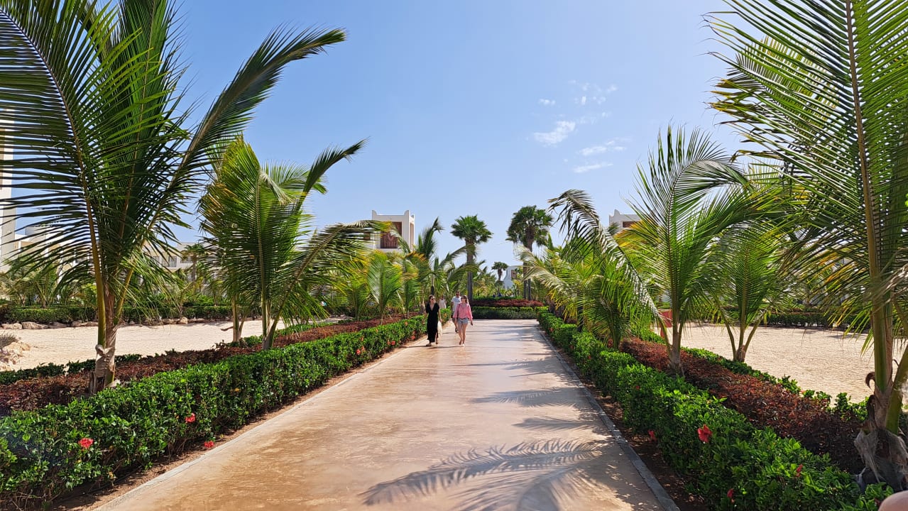 Gartenanlage Hotel Riu Palace Santa Maria