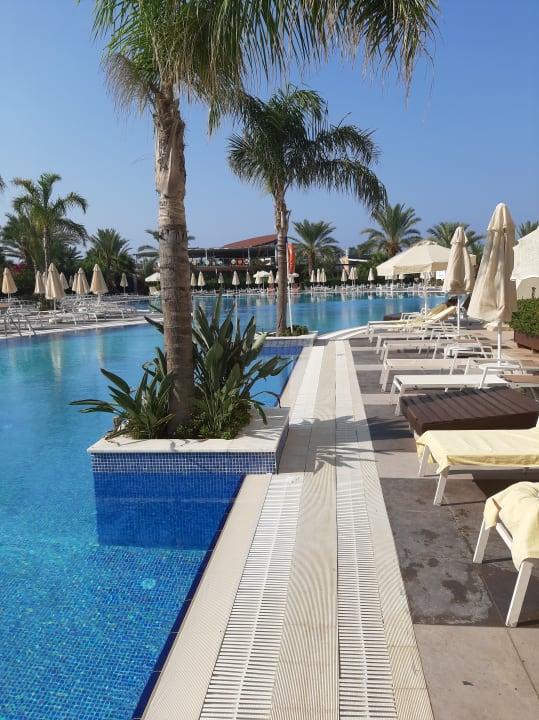 Pool Seaden Sea Planet Resort & Spa