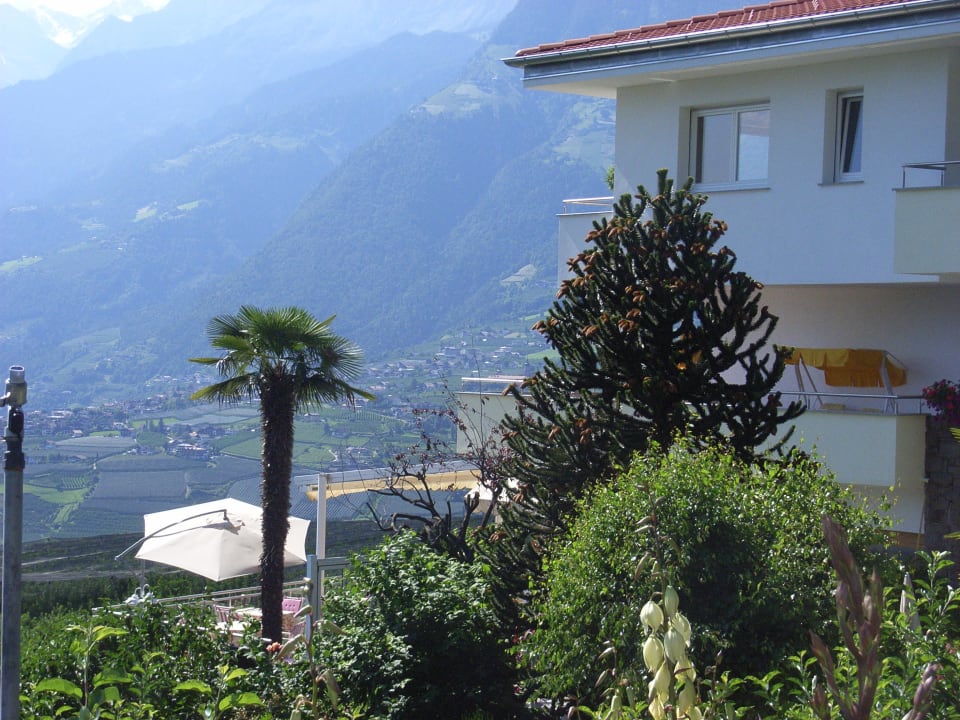 Blick in den Garten Apartments Graf Hartwig