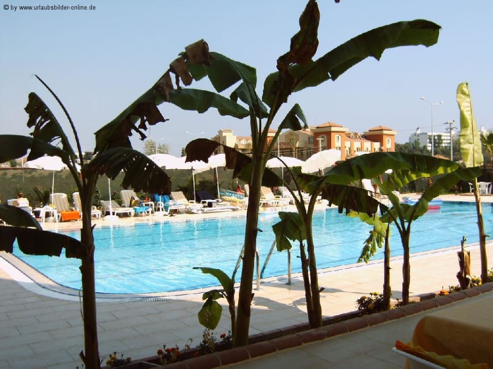 Pool Silver Hotel