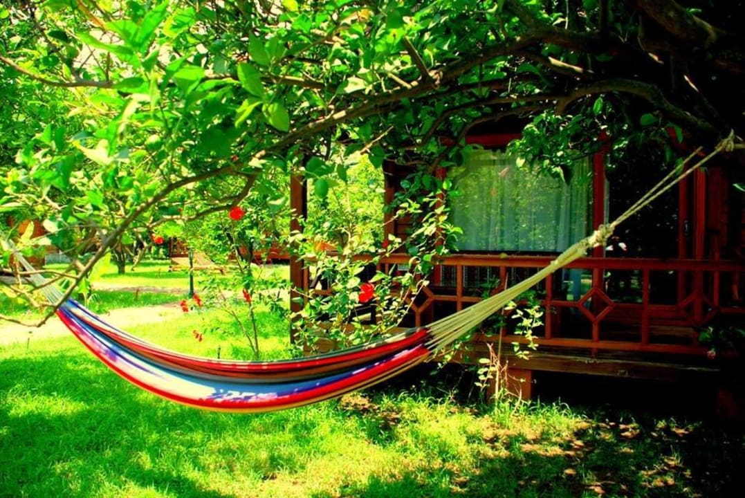 Baraka house  Guesthouse Baraka House