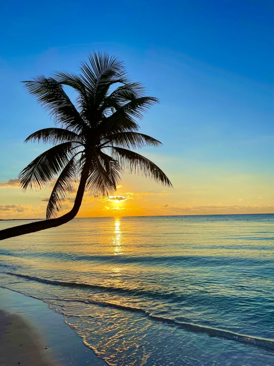 Strand Akumal Bay Beach & Wellness Resort