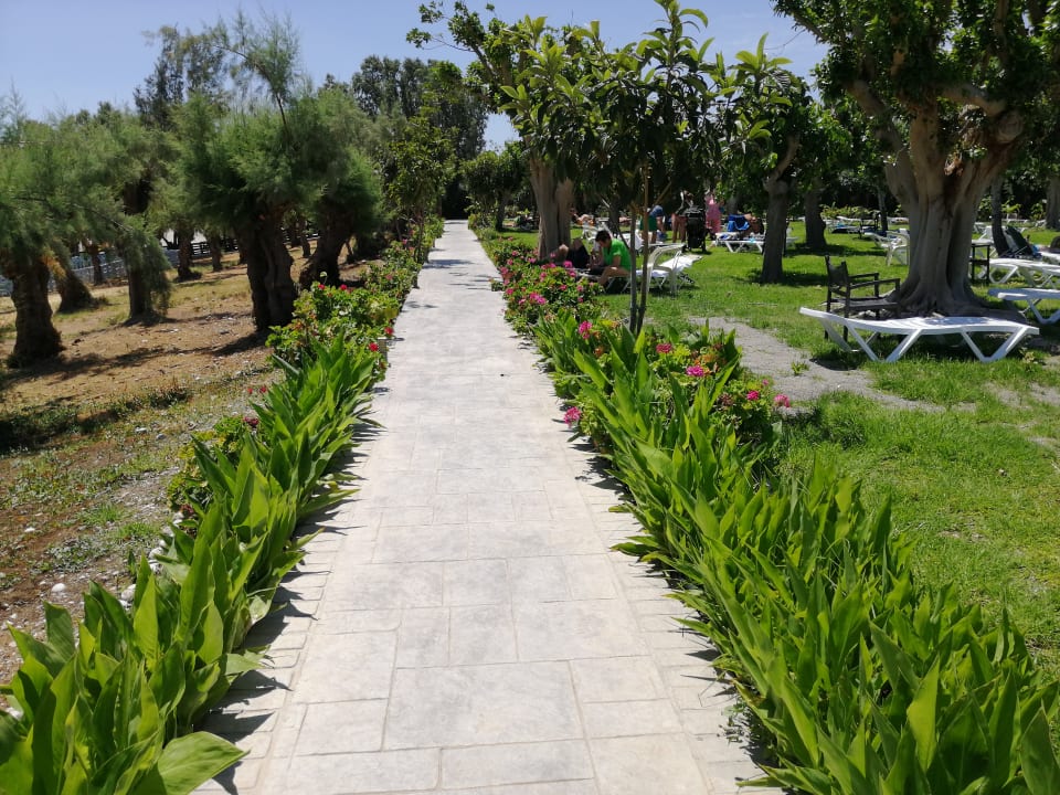 Gartenanlage Irene Palace Beach Resort Club alltoura