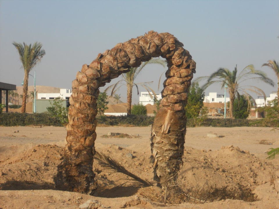 Umgebung Xperience St. George Homestay