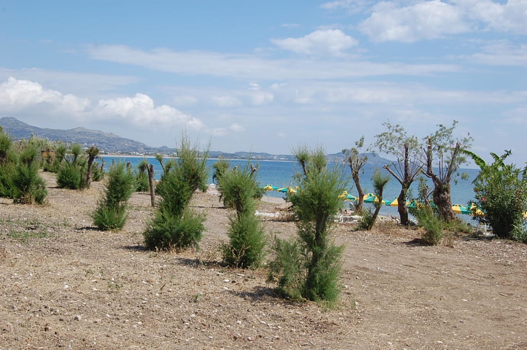 Morze Irene Palace Beach Resort Club alltoura