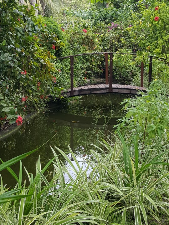 Gartenanlage Adaaran Select Meedhupparu Island Resort - Premium All Inclusive