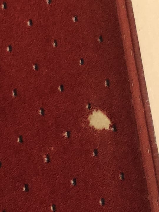 Zimmer Hotel Alphof Alpbach