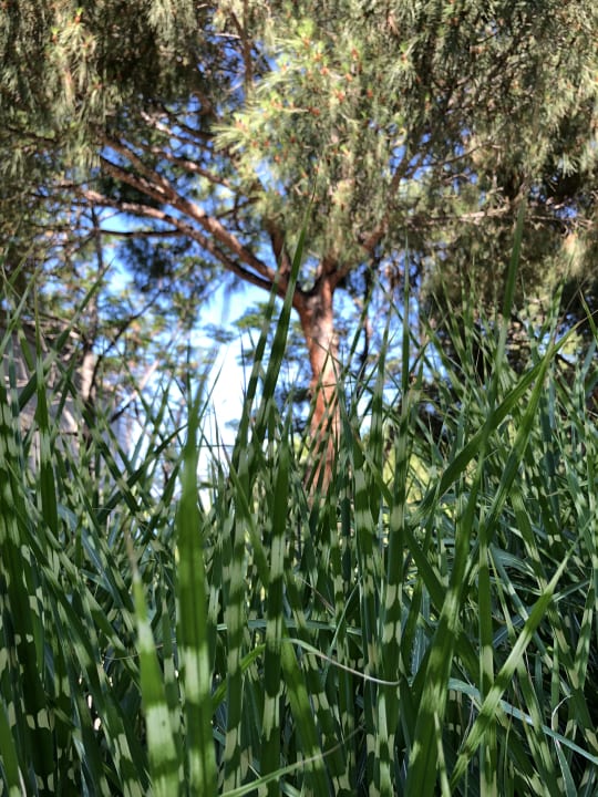 Gartenanlage Club Marvy