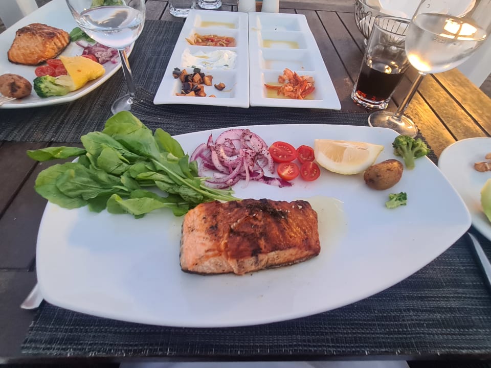 Gastro Balmy Foresta