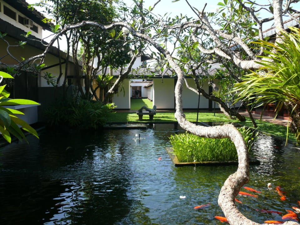 Blick vom Eingangsbereich Thaala Bentota