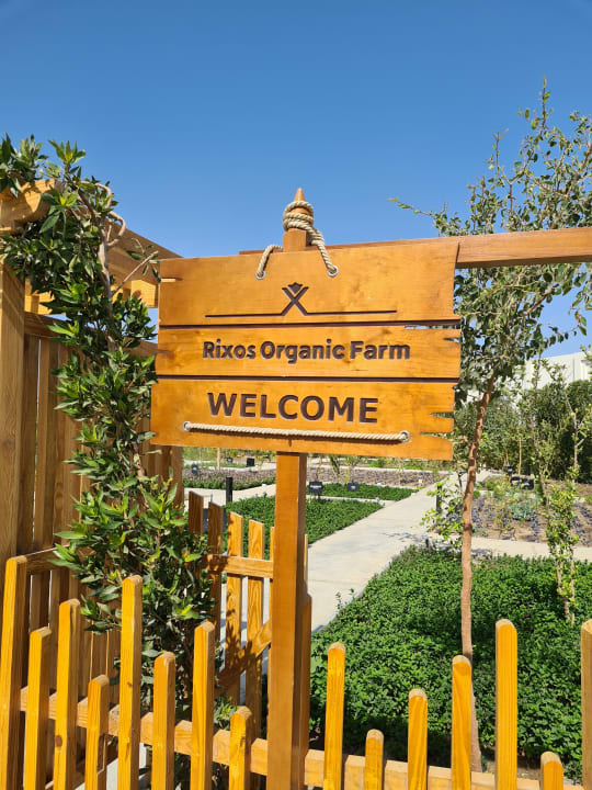 Sonstiges Rixos Premium Magawish Suites & Villas