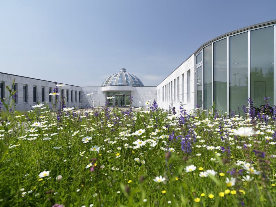 Außenansicht Hotel HSG Alumni Haus