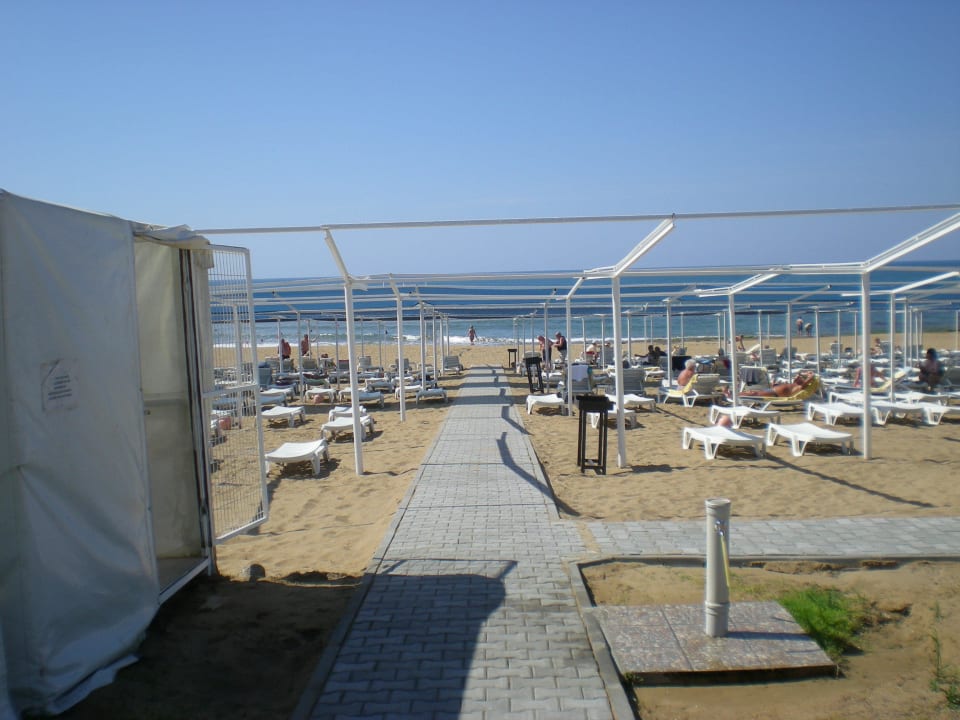 Strandabschnitt des Hotels Hotel Orfeus Park