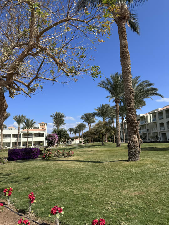 Gartenanlage Pickalbatros Dana Beach Resort - Hurghada