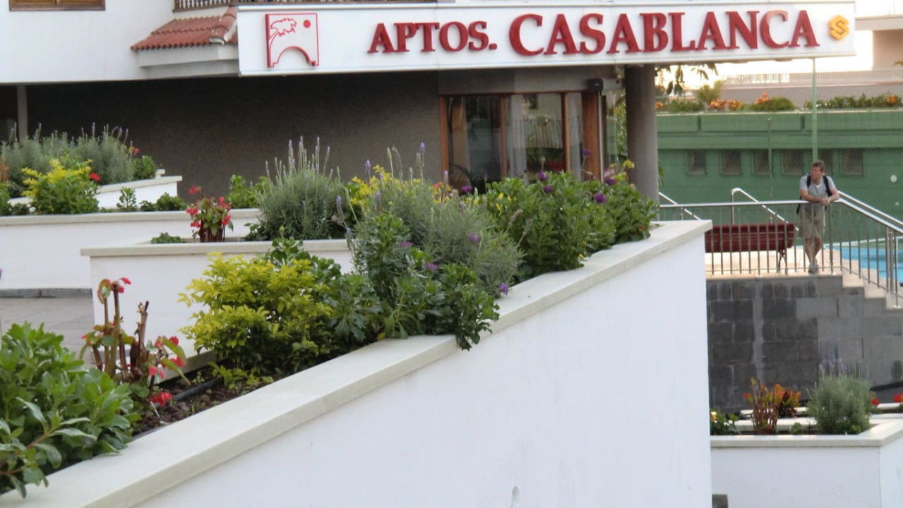Eingangsbereich Apartamentos Casablanca