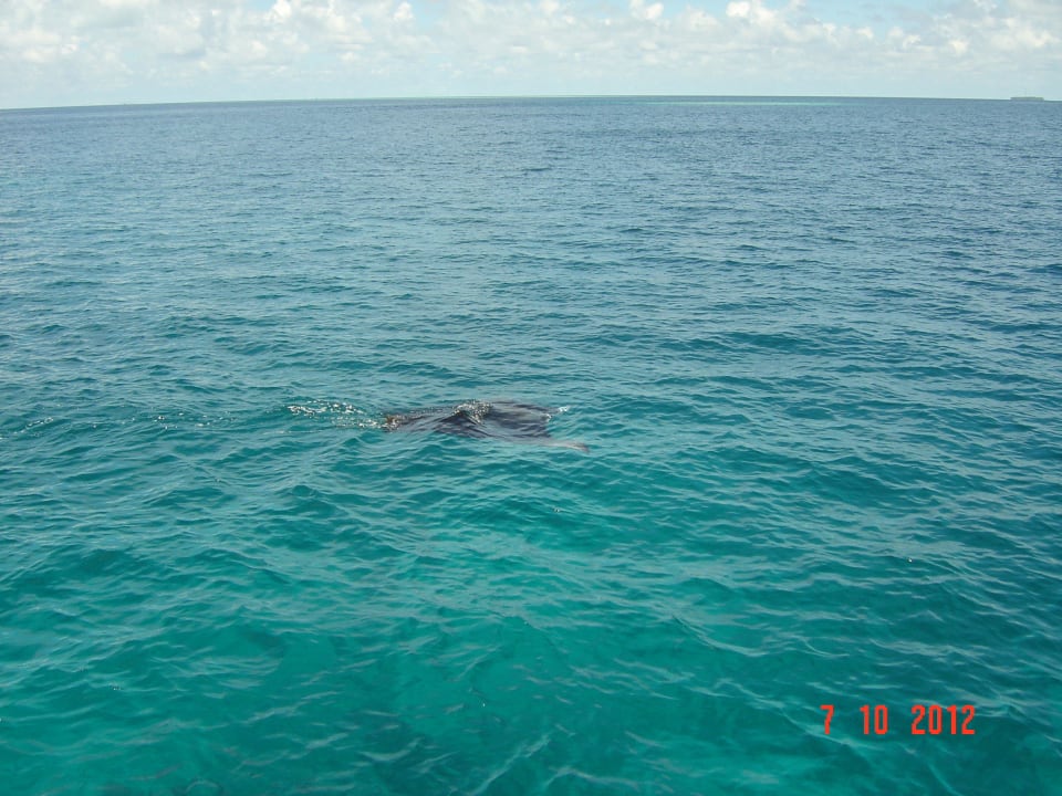 Manta Adaaran Club Rannalhi - All Inclusive