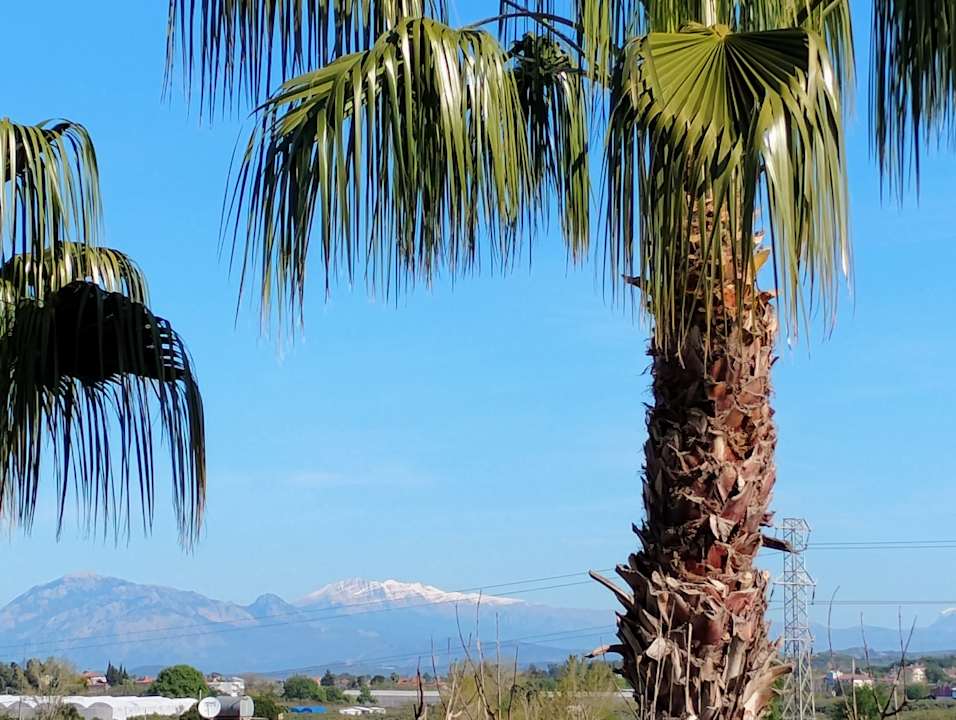 Zimmer Can Garden Resort