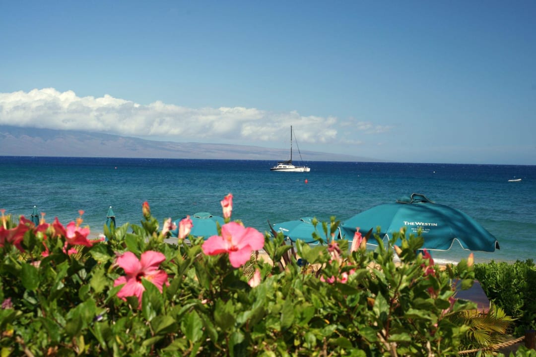 Strandzone Kaanapali Beach Hotel