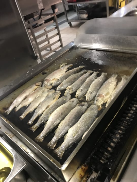 Gastro Asteria Family Belek