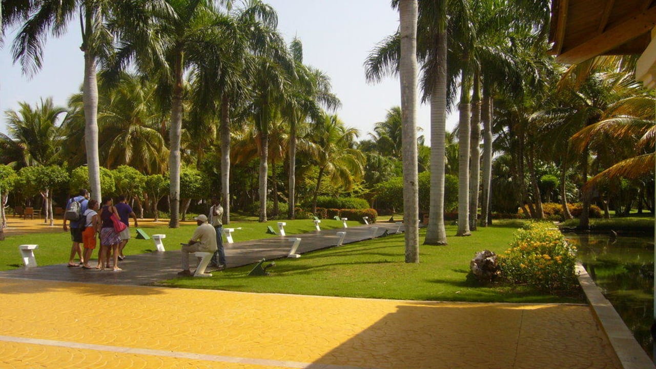 Der Weg zu den Villen Catalonia Punta Cana - All Inclusive