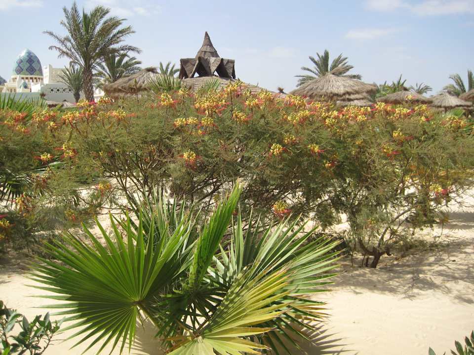 Eine kleine Oase! Hotel Riu Karamboa