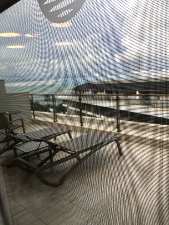 Zimmer Acanthus Cennet Barut Collection