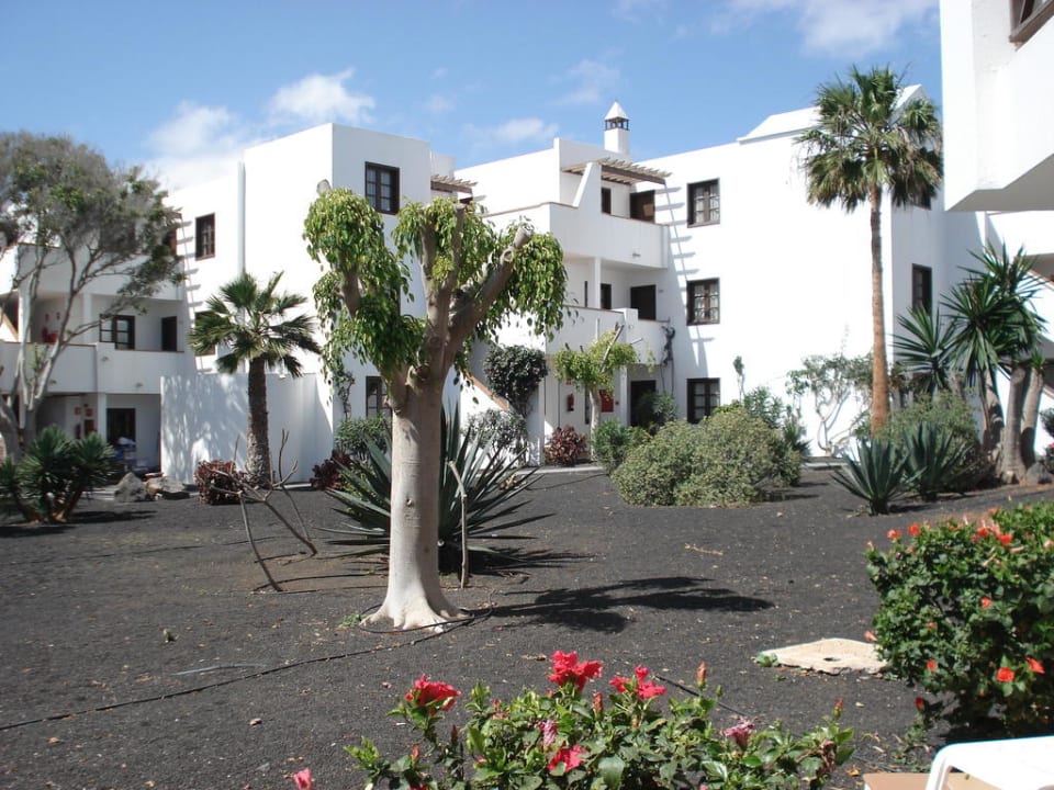 Blick auf Hotelzimmer und Gartenanlage allsun App.-Hotel Albatros