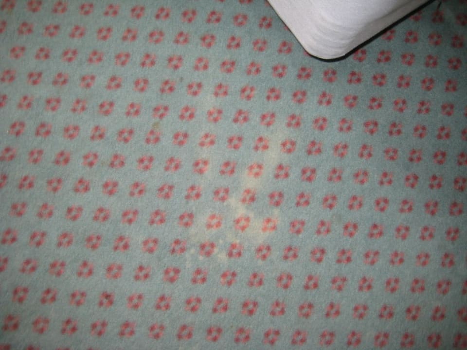 Teppichflecken Entrée Hotel Glinde