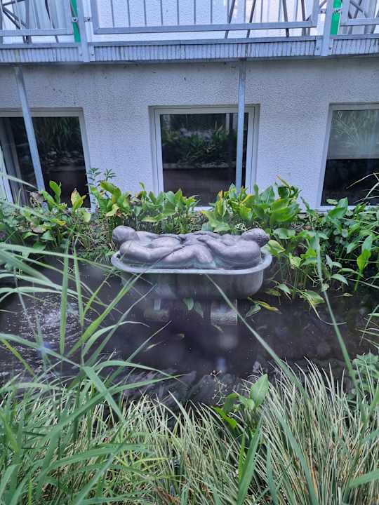 Gartenanlage Wellness- und Gartenhotel Heusser