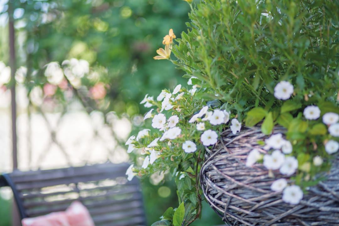 Gartenanlage Appartementhaus Silvia