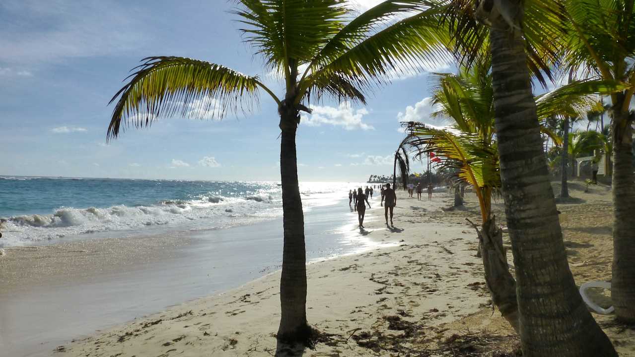 Hotelstrand Hotel Riu Palace Bavaro