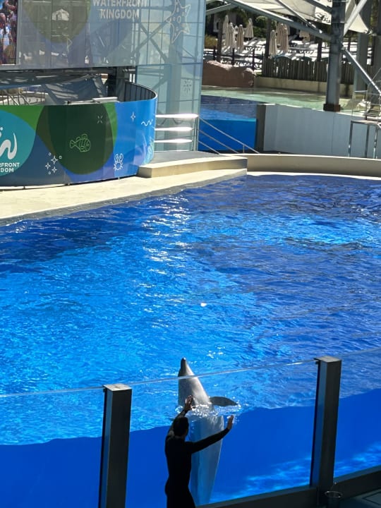 Pool The Land of Legends Kingdom Hotel