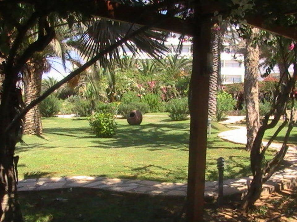 Grüner Garten Hotel Nissi Beach Resort